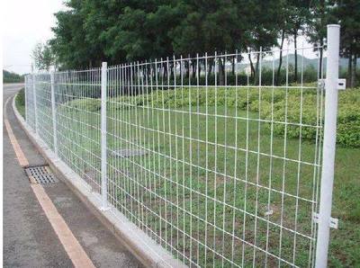 綠色雙邊絲護欄網 美觀與安全并重的現代防護解決方案