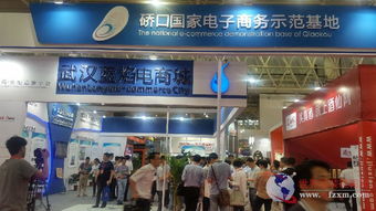 華中電商第一展 500余家企業(yè)齊聚，技術(shù)服務(wù)引領(lǐng)行業(yè)新浪潮