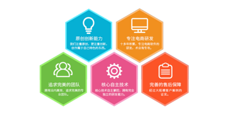 電商網(wǎng)站軟件服務(wù)與電子商務(wù)技術(shù)服務(wù) 構(gòu)建高效在線商業(yè)生態(tài)的核心支柱