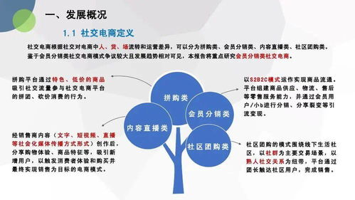 《電子商務(wù)技術(shù)服務(wù)合規(guī)啟示 基于中國(guó)社交電商合規(guī)研究報(bào)告的分析》