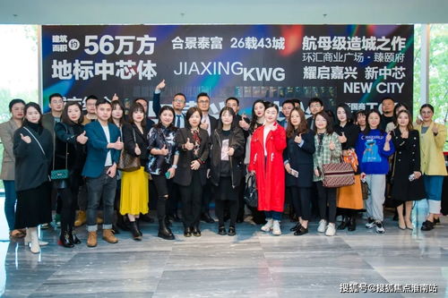 嘉興合景泰富環匯商業廣場 電子商務技術服務的多元價值解析
